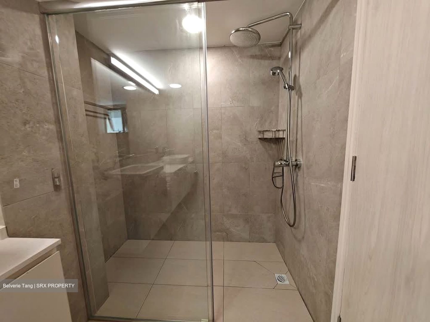 Cavenagh Lodge (D9), Apartment #621709931
